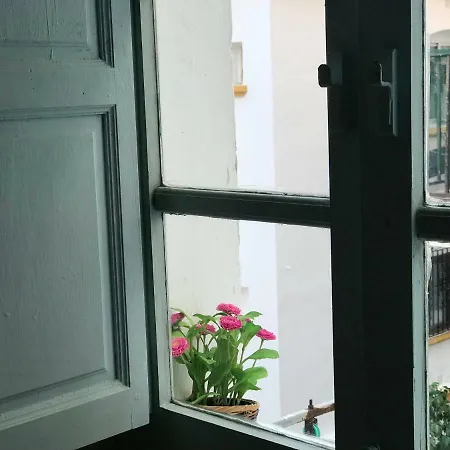 Purelight Apartment